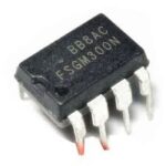FSGM300N